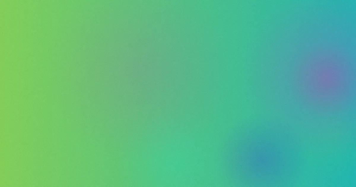 安娜的橱窗歌曲测评避坑